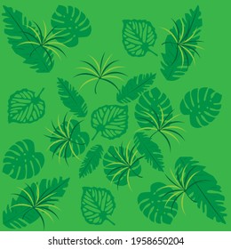 Green Exotic tropical jungle leaves. monstera plant leaves, banana plants and green tropics palm leaves pattern