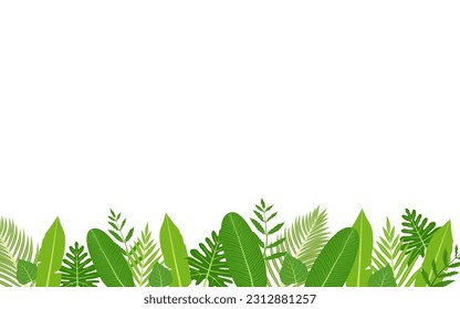 green exotic tropical leaves background with white space