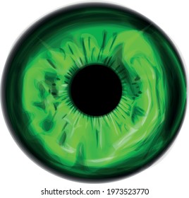 Green eye iris realistic vector art 
