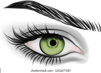 Green eye on white background. Woman eye