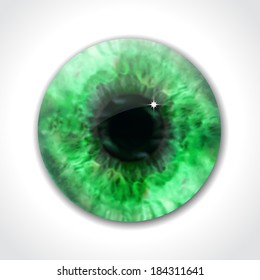 Green eye pupil macro. Vector illustration