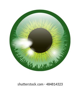 Green eye, vector