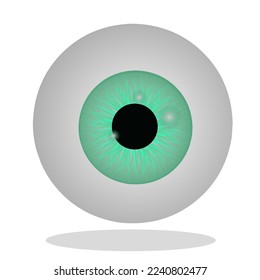 Green Eyeball Vektorgrafik, geeignet für Symbol