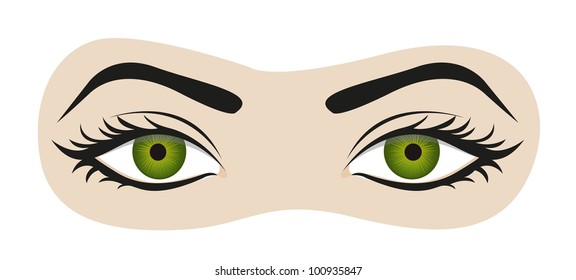 green eyes with eyelashes and eyebrows, vector illustration