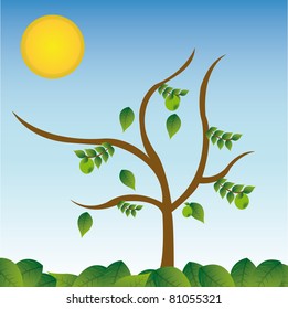 green fall leaves over sky with sun background. Illustration