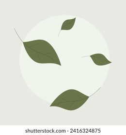 Green falling leaves of tea, mint. on a green background.