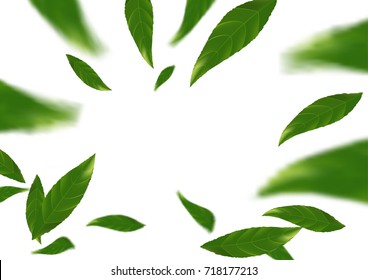 green falling tree leaves abstract modern background layout. Spring fresh leaf fly natural beauty design concept. Vector illustration