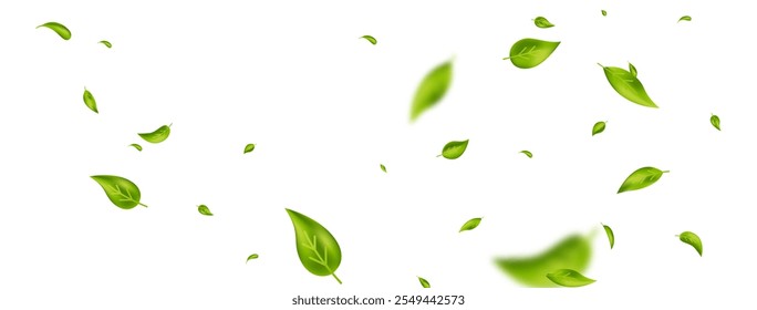 Green falling wave leaves border. Flying foliage ornament. Organic, vegan design element. Leaf eco banner. Cosmetic pattern. Fresh tea background. Beauty product frame. Vector illustration.