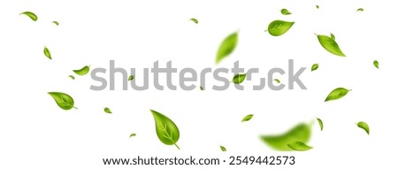 Green falling wave leaves border. Flying foliage ornament. Organic, vegan design element. Leaf eco banner. Cosmetic pattern. Fresh tea background. Beauty product frame. Vector illustration.