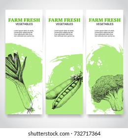 Green farm fresh vegetables banners. Leek, peas and broccoli. Sketch hand drawn veggies on green watercolor backgrounds. Vector illustrations posters for markets.