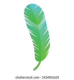 Green feather icon. Cartoon of green feather vector icon for web design isolated on white background