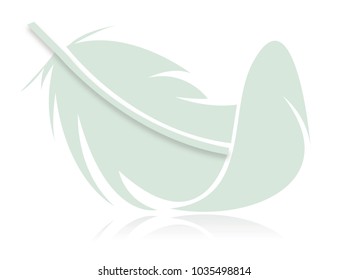 Green Feather reflected on a white background