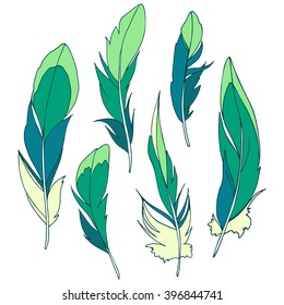 Green feather set. Set of color images.