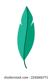 green feather vector over white