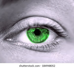 Green female eye macro. Vector