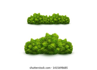 Green fence. Bushes and shrubs.
