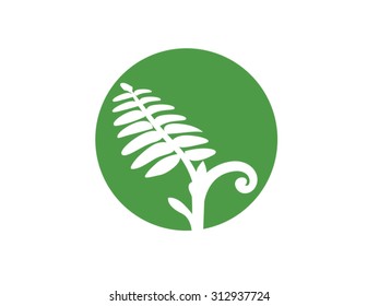 Green Fern