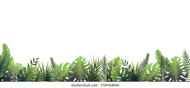 Green fern background after rain. Rainforest horizontal decoration in rainy weather floral botanical background elegant bright green fern leaves, wild natural lawn in vector colors.