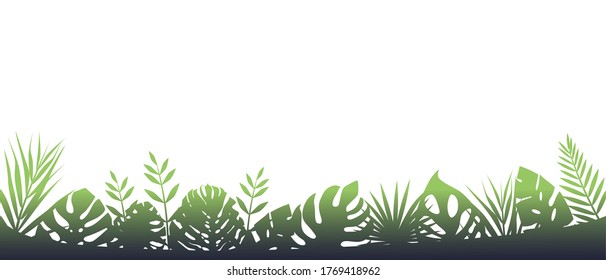 Green fern background in fog. Horizontal decoration of rainforests after rain floral botanical background with elegant blurred fern leaves wild natural lawn in saturated vector.