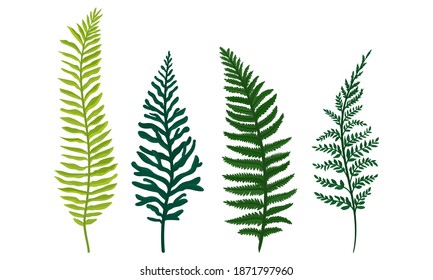 Green Fern Frond or Branch as Tropical Foliage Vector Set