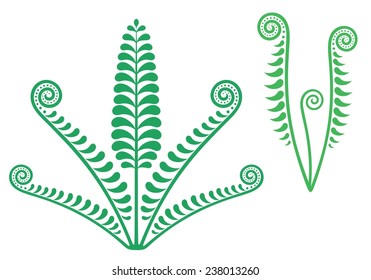 Green fern. Isolated fern on white background
