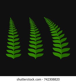 Green Fern Leaf Set