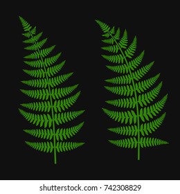 Green Fern Leaf Set