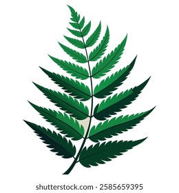  green fern leaf vector art for botanical and nature designs
