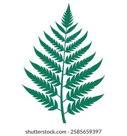  green fern leaf vector art for botanical and nature designs
