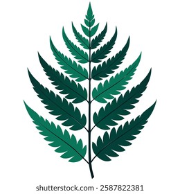  green fern leaf vector art for botanical and nature designs
