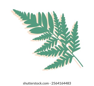Green fern leaf vector illustration