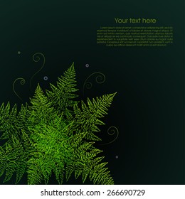 Green fern plant on a black background. Vector illustration