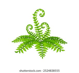 Helecho verde, tropical, planta con hojas intrincadas y frondas en espiral. Elemento de Vector de dibujos animados de la naturaleza, la flora de la selva y el entorno prehistórico. Follaje tropical exuberante aislado, activo de juego de la vegetación