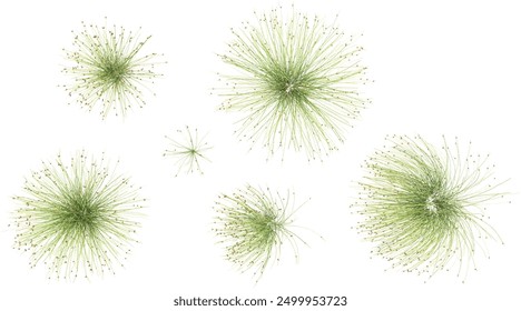 Green Fiberoptic Grass Border isolated on white background.top view