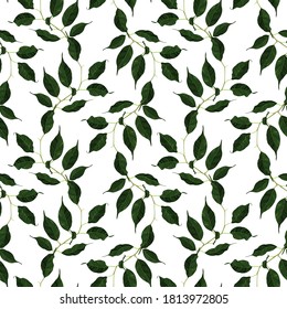 Green ficus rubber plant branch textured leaf seamless pattern background, vector art