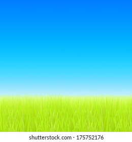 Green field and blue sky