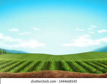 Green field with blue sky background in 3d illustration