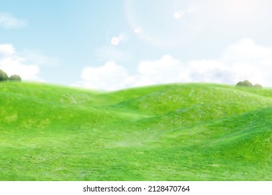 Green field with blue sky background in 3d illustration. Farm and country side concept.