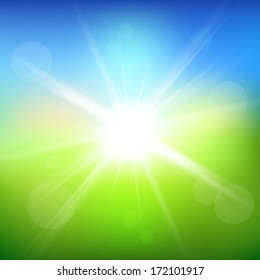 Green field and blue sky with sun burst. Vector background.