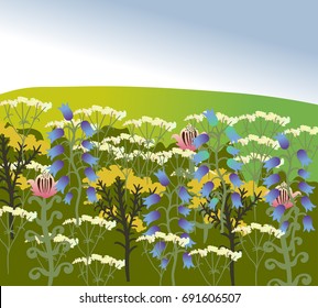 Green field with different wildflowers. Image of nature vector.