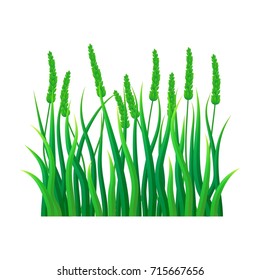 Green field grass icon. Realistic illustration of green field grass vector icon for web design isolated on white background