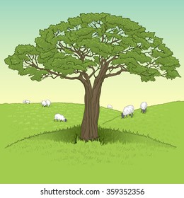 green field landscape with big tree and pasturing ships, hand drawn illustration