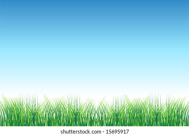Green field on clear sky