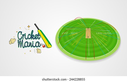 Green field stadium showing ball shot statistic in different colors with bat and ball for Cricket Mania.