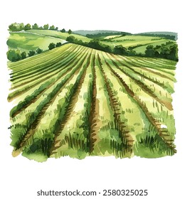 green fields vector illustration in watercolor style