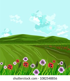 Green fields Vector. Spring background decor