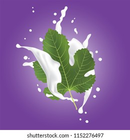 Green Fig Leaf. Realistic 3d Figs Leaf With Splashing Milk. Detailed 3d Illustration Isolated On Purple with Yogurt Splash. Design Element For Web Or Print Packaging. Vector EPS10. 