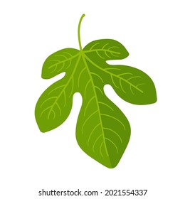 Green fig leaf in vector icon