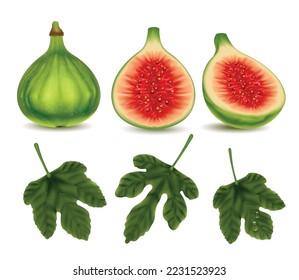 Green fig realistic set of fresh whole and half ripe fruits and leaves isolated on white background vector illustration