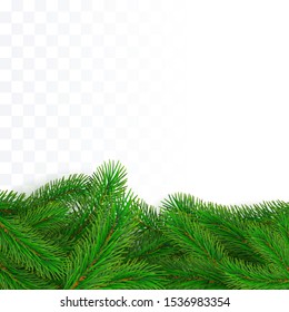 Green fir branches border. Christmas tree twig decoration element for banner and poster. Conifer holiday decor. Vector